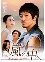 【中古】嵐の中へ 全12巻セット s5537【レンタル専用DVD】