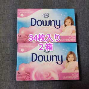 ダウニー柔軟剤シート エイプリルフレッシュ 34枚×２箱乾燥機用ランドリーシート Downy