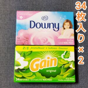 ゲイン 柔軟剤シート ダウニー ランドリーシート34枚入り 乾燥機用 ２個セット