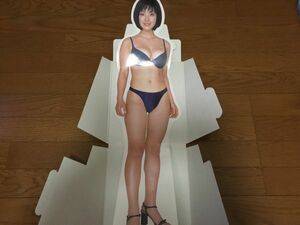 【即決】小向美奈子 立体スタンド型パネル