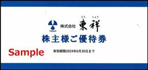 ◆06-01◆東祥 株主優待券(ホリデイスポーツクラブ施設利用券) 1枚A◆