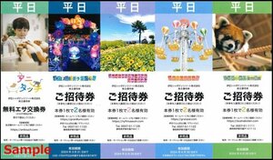 ◆06-01◆伊豆シャボテンリゾート 株主優待券(平日招待券4枚綴り＋平日エサ交換券＋全日ホテル割引券) B◆