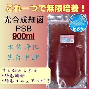 ★無限培養★光合成細菌PSB 900ml 水質浄化　生存率UP　メダカ　めだか　卵　金魚　らんちゅう　熱帯魚　稚魚　針子　ミジンコ ゾウリムシ