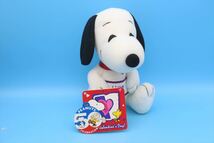 2000年Snoopy Valentine’s Day Plush Toys/スヌーピー バレンタイン/ピーナッツ/179350853_画像1
