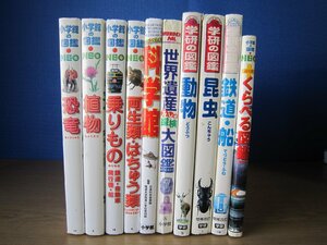 【図鑑】《まとめて10点セット》小学館の図鑑NEO/学研の図鑑/恐竜/植物/乗り物/世界遺産/昆虫/鉄道・船/くらべる図鑑/他