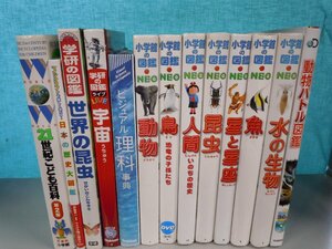 【図鑑】《まとめて13点セット》小学館の図鑑NEO/昆虫/動物/水の生物/人間/星と星座/世界の昆虫/21世紀こども百科 他