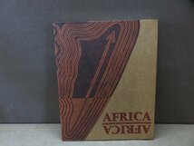 【図録】アフリカ・アフリカ 熱い大陸のアーティストたち 東武美術館_画像1