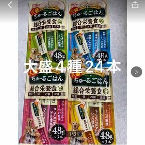 「即決2000円」いなば　大盛　ちゅ〜るごはん　総合栄養食　4種24本　ちゅーる　チュール　犬　とりささみ　ごはん