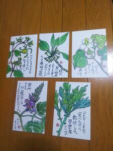 岐阜県 飛騨市 薬草ビレッジ構想推進プロジェクト 葉書 ハガキ はがき 5枚 メナモミ クロモジ クズ ヨモギ ドクダミ