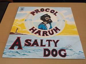 US盤 SP 3123 Procol Harum / A Salty Dog プロコル・ハルム ソルティ・ドッグ