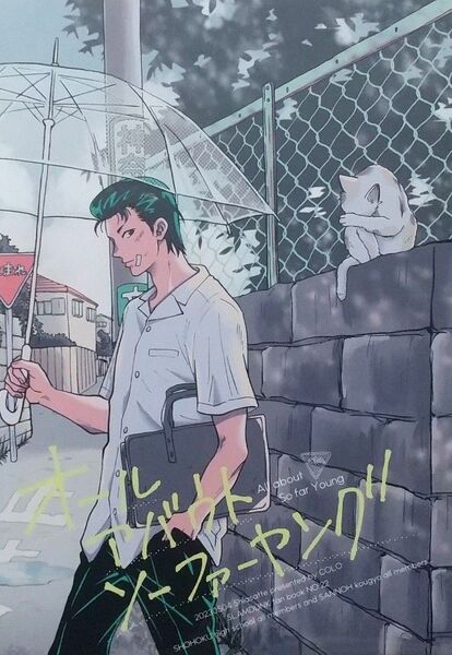 スラムダンク 同人誌 オールアバウトソーファーヤング