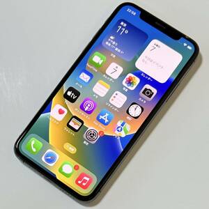 Apple SIMフリー iPhone Xs スペースグレイ 256GB MTE02J/A iOS16.4 アクティベーションロック解除済