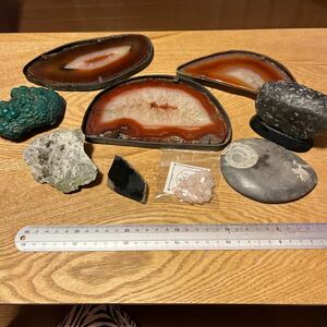 天然石 原石 鑑賞石 パワーストーン 水晶 化石 アンモナイト 鉱石 