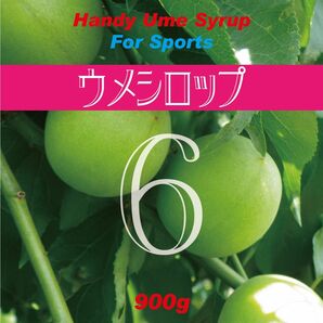 いつでもどこでも携帯も出来るハンディタイプのミニボトル梅シロップ150g6点