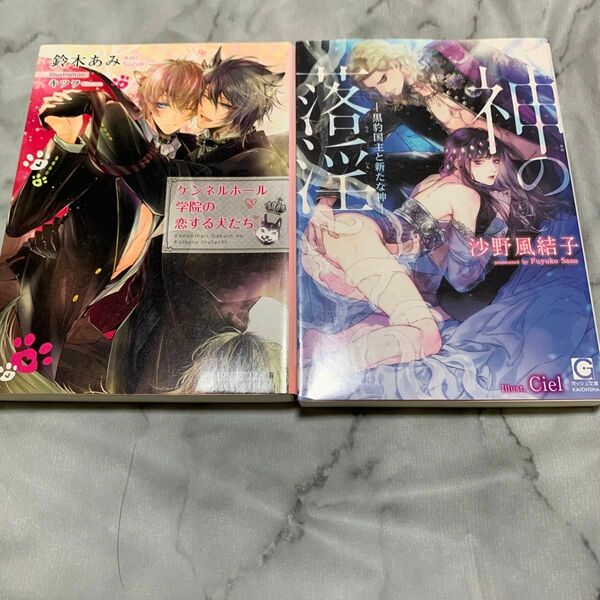 神の落淫　黒豹国主と新たな神 沙野風結子／著 ケンネルホール学院の恋する犬たち 二冊セット