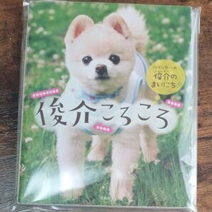 【古本】俊介ころころ ツイッター犬俊介のまいにち 宝島社 本