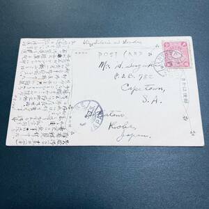 1913年 菊4銭単貼はがき 希少宛先 南アフリカ・ケープタウン宛 櫛型 KOBE シベリア/ロンドン経由書込み エンタイア