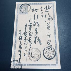 北方領土 択捉島宛使用例 明治36年 丸一 千島・紗那 / 千島・蕊取 千島の2局印あり珍しい 青枠菊はがき 千葉発 年賀状 エンタイア