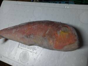 北海　北の味】特選高級魚　《冷凍》赤甘鯛　1本入1ｋｇ前後　白甘鯛　１本入800ｇ前後　　合計2本セット1.8ｋｇ