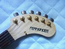 廃番モデル Fernandes DIGI-ZO HYPER Built-in Effect/フェルナンデス デジゾー ハイパー ソフトケース・バッテリーボックス付ストラップ付_画像5