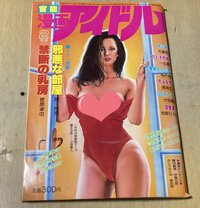 漫画アイドル1982年2月号★段玲児/一の瀬正/大島岳詩/杉戸光史/菅原卓也/高城丈二/大宅顔虫/浅野ひろみ他