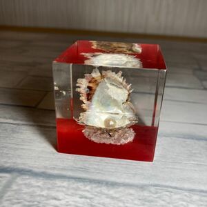 送料一律410円 真珠 置物 標本 レトロ 貝 ミニチュア インテリア 真贋保証なし