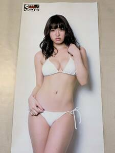 等身大ポスター 今野杏南(水着：白) アサ芸Secret! 応募者全員サービス/元箱あり