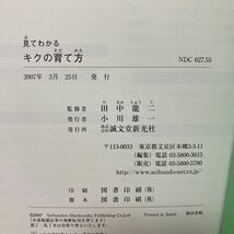 見てわかる　キクの育て方　苗の選び方から殖やし方まで （見てわかる園芸シリーズ） 田中竜二／監修_画像7