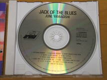 ◆◇【コレクターアイテム/名盤】山岸潤史/JUNE YAMAGISHI★JACK OF THE BLUES◇◆_画像5