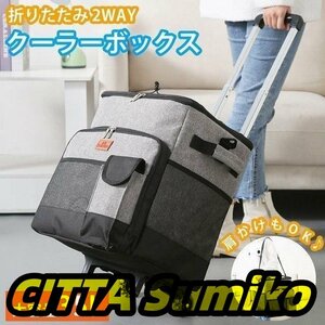 クーラーバッグ 35l クーラーボックス 折りたたみ キャリーカート ショルダーバッグ デリバリーバッグ 2WAY アウトドア 　大容量　市場かご