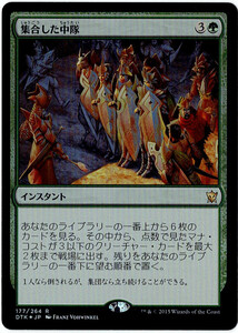 MTG　集合した中隊　日本語　3枚迄　DTK　Foil