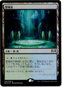 MTG　繁殖池　日本語　1枚迄　RNA　Foil