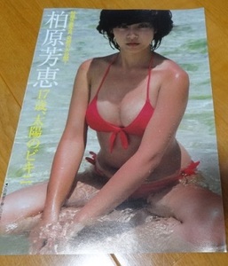 ◆激レア!!80年代アイドル◆柏原芳恵◆切り抜き◆B5ｘ8P◆ビキニ◆水着◆巨乳◆柏原よしえ◆