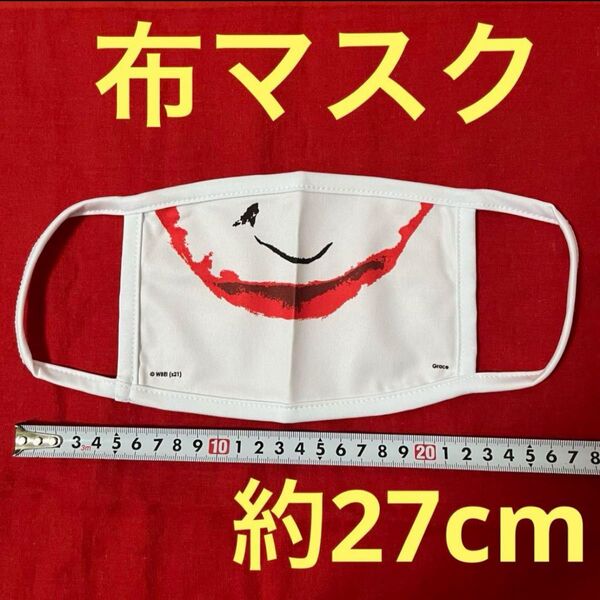 【未使用】布マスク　白地に柄　約27cm