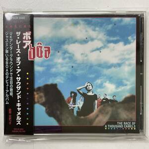 CD BOA THE RACE OF A THOUSAND CAMELS ボア 日本盤 美盤 帯 歌詞 対訳 LICCA*RECORDS 311 w/OBI Features the Opening Theme from Lain!