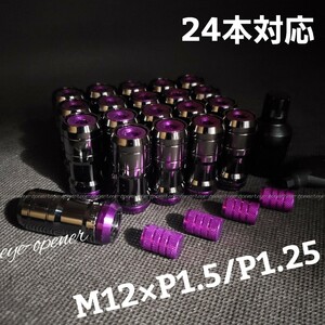 BLACKSILVER/PURPLE 3ピース盗難防止ホイールナット20本 銀黒/紫