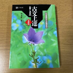 古文上達　基礎編　読解と演習４５ 仲　光雄　著