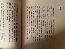 魂の同伴者たち　アダム・ビトルストン著　イザラ書房　シュタイナー天使学シリーズ_画像7