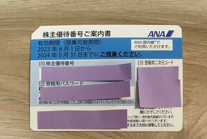 ANA株主優待券 2024年5月31日搭乗まで有効　番号通知　郵送なし