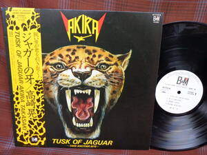 L#4180◆帯付LP◆ 高崎晃 ジャガーの牙 Tusk Of Jaguar AKIRA TAKASAKI LOUDNESS AF-7115-B