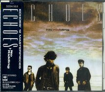 D00155371/CD/ECHOES (エコーズ・辻仁成)「No Kidding (1986年・32DH-553)」_画像1