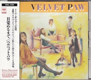 CD VELVET PAW 目覚めるまで ベルベット・パウ