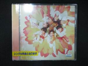 992 レンタル版CDS しあわせの花/ジャニーズWEST 0497