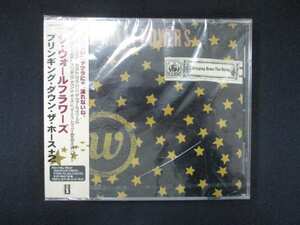 1010 未開封CD ブリンギング・ダウン・ザ・ホース +2/ザ・ウォールフラワーズ ※ワケ有