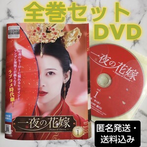 ユエン・ハオ★チャオ・ツァオイー『一夜の花嫁~Pirates of Destiny~』レンタル落ちDVD★全巻★中国ドラマ
