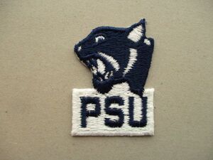 80s ペンシルベニア州立大学PSUワッペンNittany Lions/Back The LionsパッチpatchアメフトNCAAフットボールUSA米国アメリカFOOTBALL V198