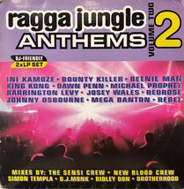 V.A. - Ragga Jungle Anthems Volume 2 / UKの名門Greensleevesからリリースされた、レアなジャングル・コンピレーション！2LP_画像1