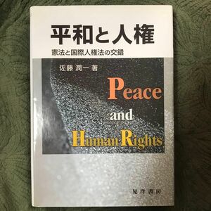 平和と人権　憲法と国際人権法の交錯 佐藤潤一／著