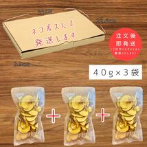 【3袋】青森県産りんごチップス サンふじ 120g 無添加 ドライフルーツ 無農薬_画像10