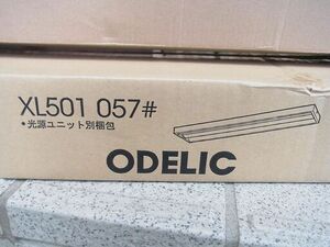  payment on delivery unused ceiling lighting light source unit o-telik fluorescent lamp set 